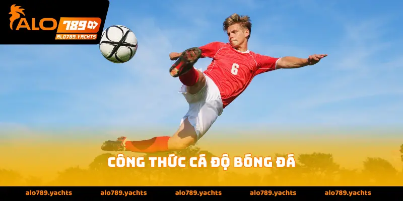 Công thức cá độ bóng đá